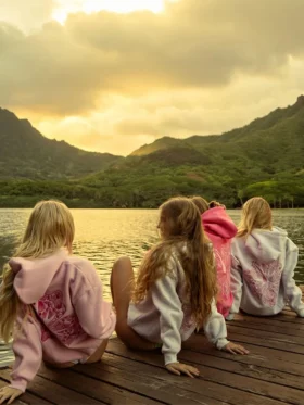 Pink-Palm-Puff-Hawaii-Hibiscus-Oversized-Hoodie