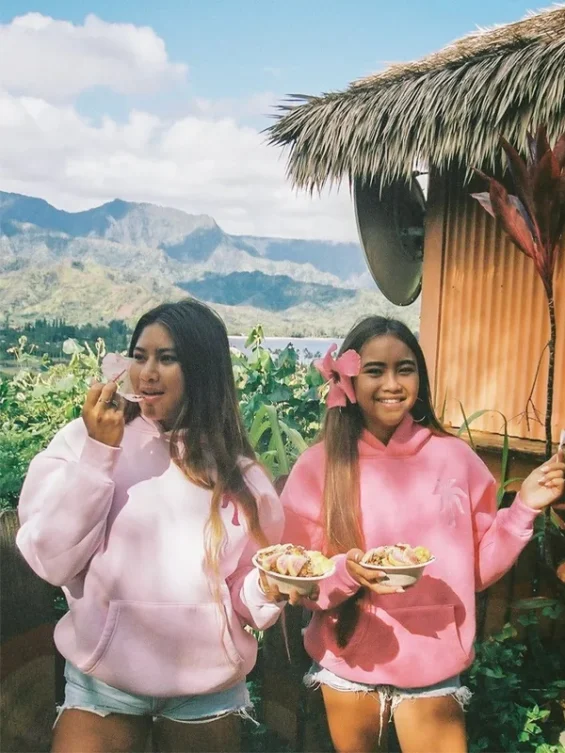 Pink-Palm-Puff-Hawaii-Hibiscus-Pullover-Hoodie