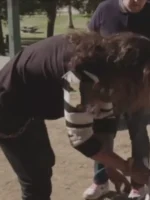 TV Series On The Roam 2024 Jason Momoa Roamers Striped Shirt Motocentric Striped Sleeves