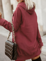 warmy hoodie dress