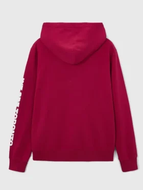 FIFA World Cup 2026 Toronto Hoodie Back View