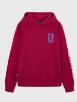FIFA World Cup 2026 Toronto Hoodie Front View