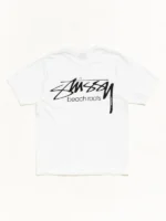 Stussy x OL Beach Roots Pigment TEE Back Look