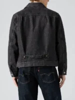 Type I Denim Jacket Back View