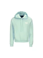 FIFA World Cup 2026 Argentina Hoodie Front View